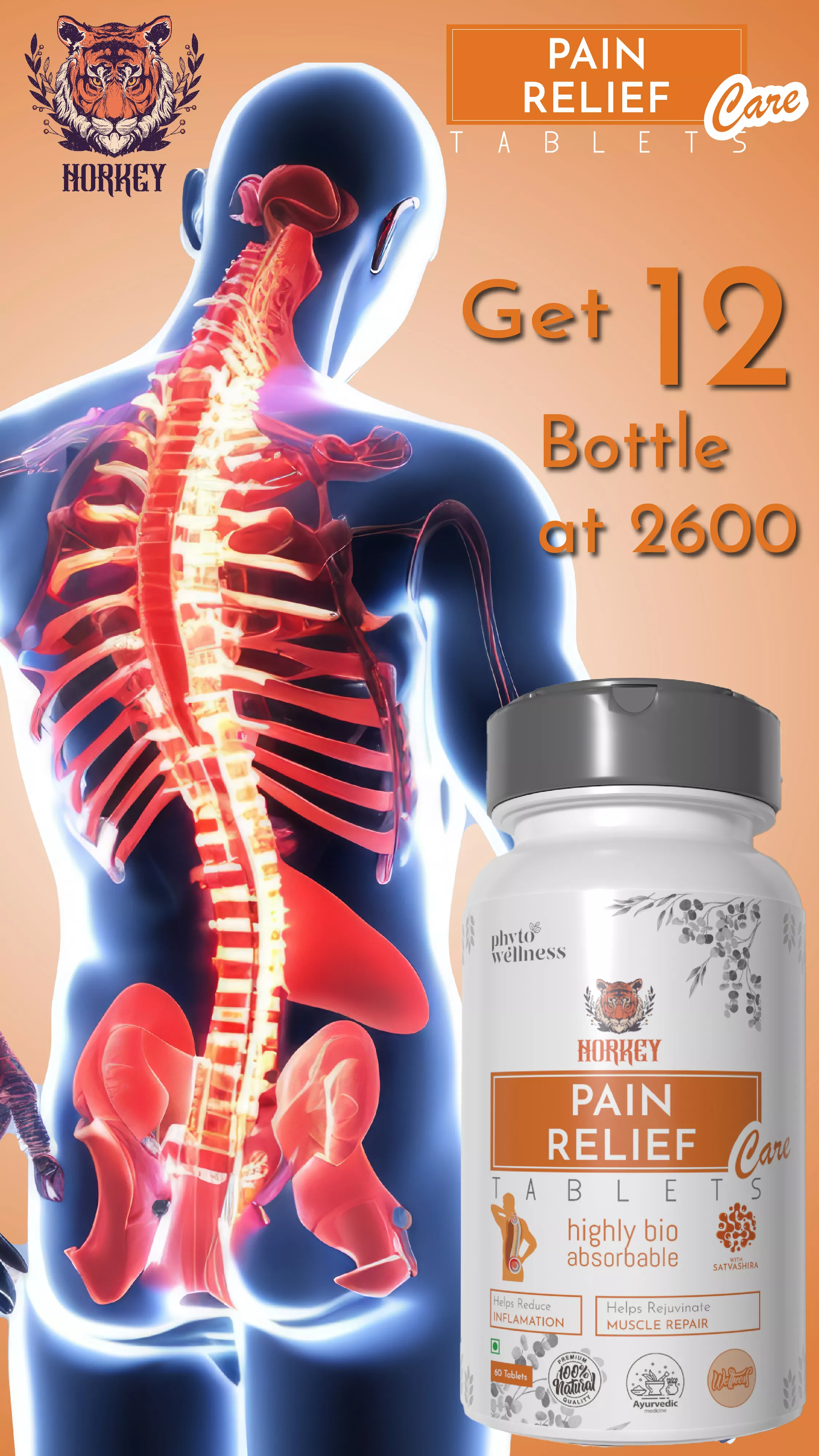 RBV B2B Probiotic Pain Relief 60 Tablets 12 Pcs.